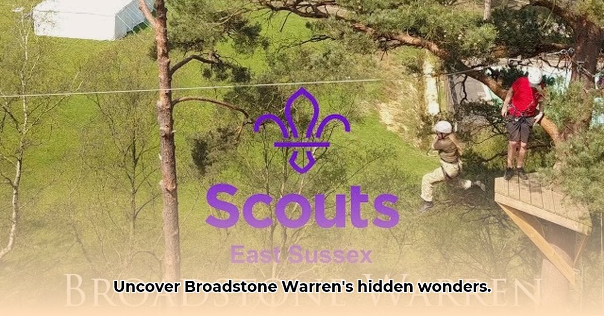 broadstone-warren